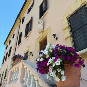 Meet your Posher, Tori